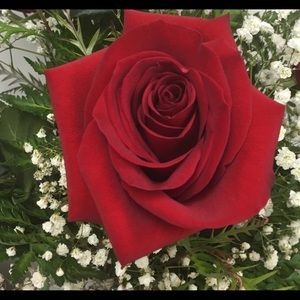 Meet your Posher, Veronica